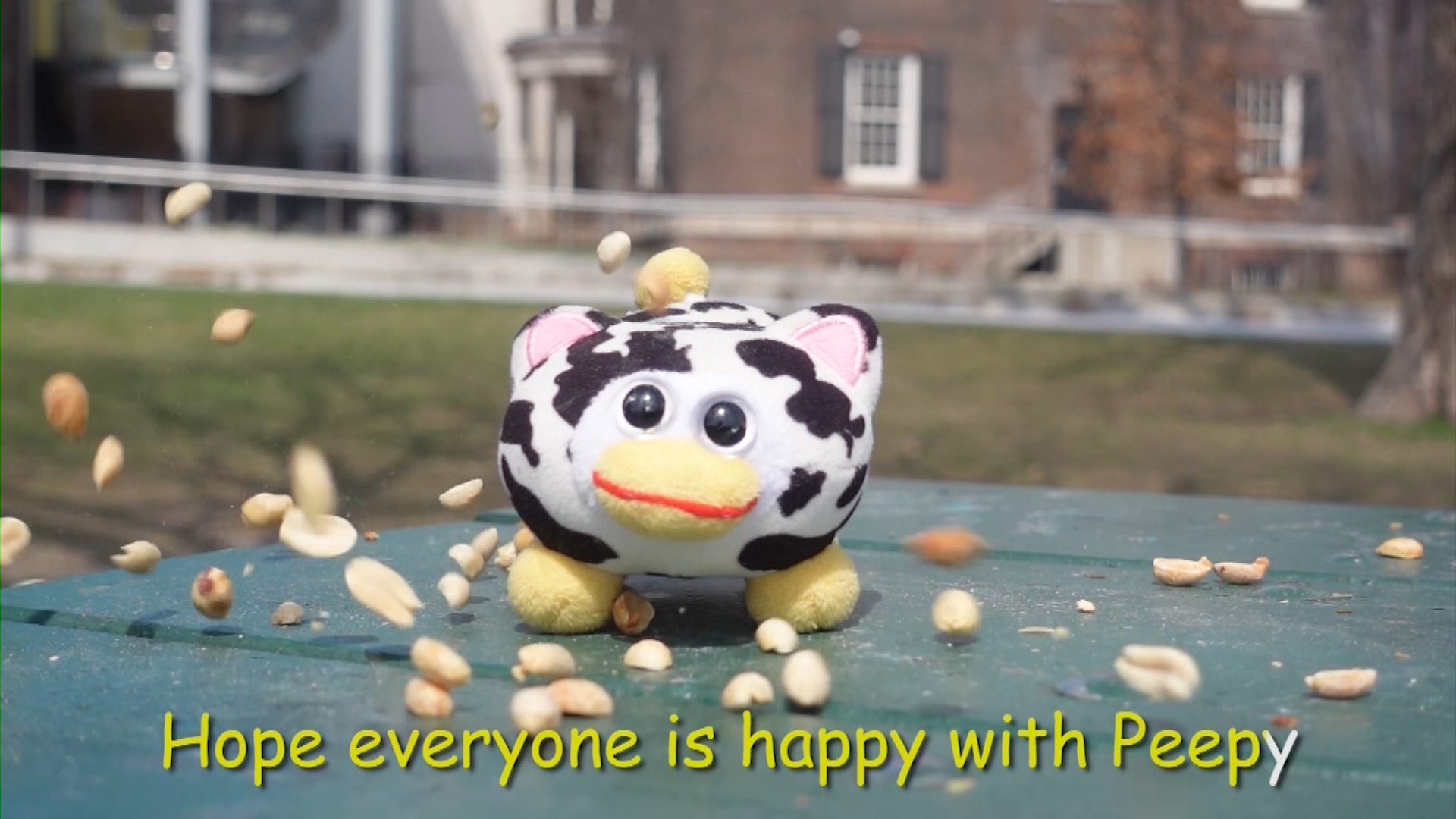 Long Form Video fallback