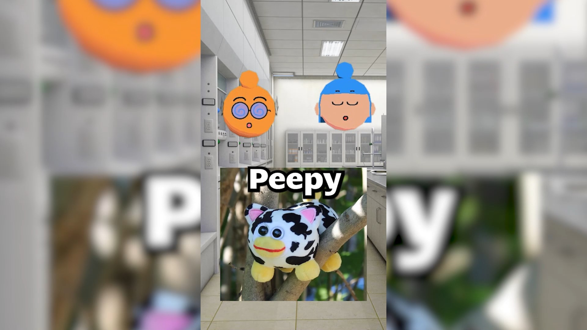 Short Form Video fallback